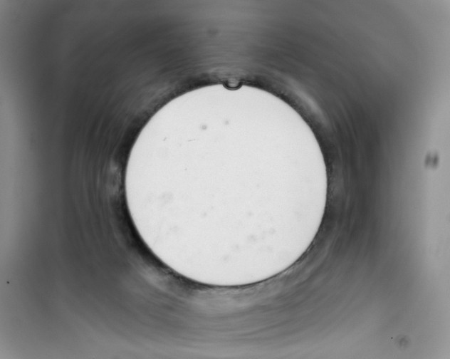 X0000100960025200807221156