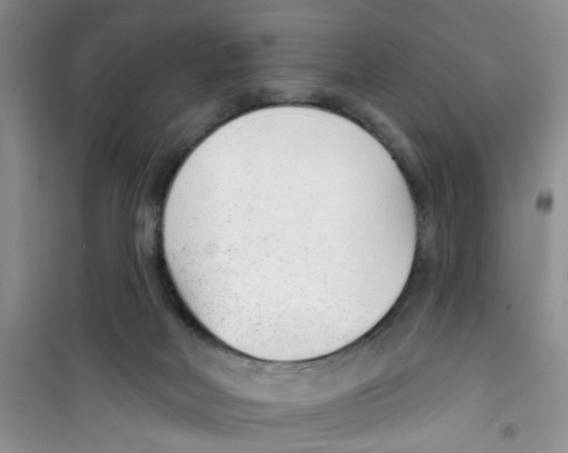 X0000100960026200807221156