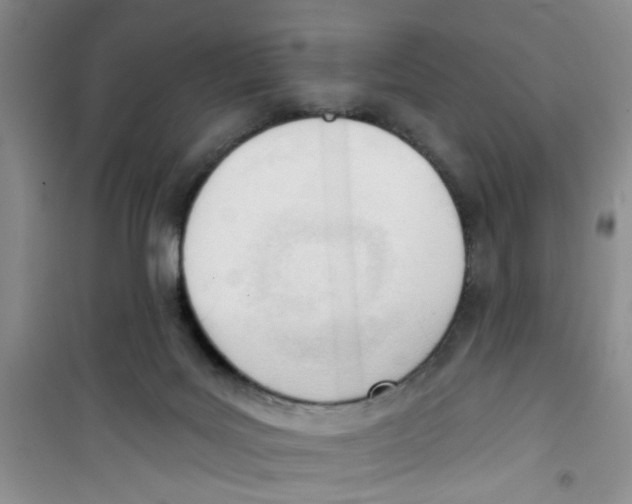 X0000100960027200807221156