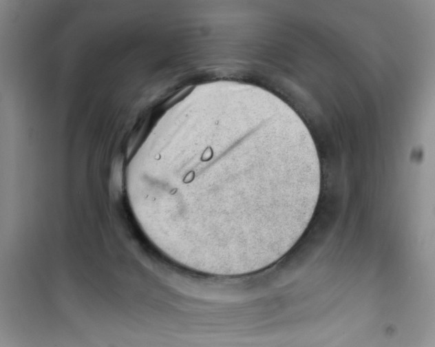 X0000100960028200807221156