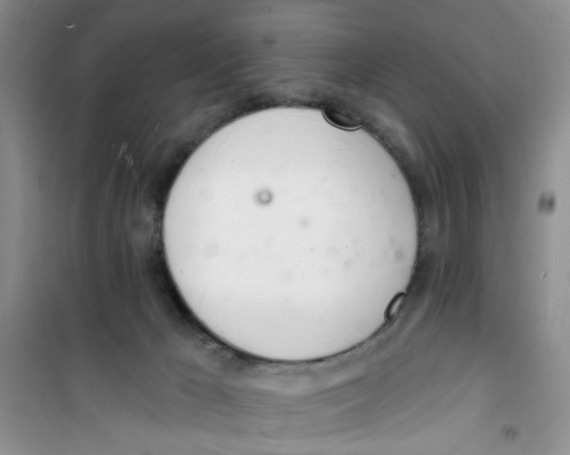 X0000100960029200807221156