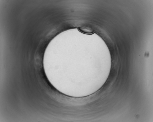 X0000100960031200807221156