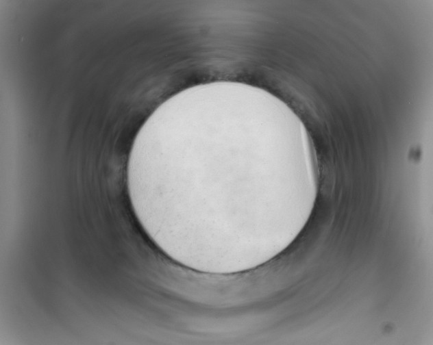 X0000100960034200807221156