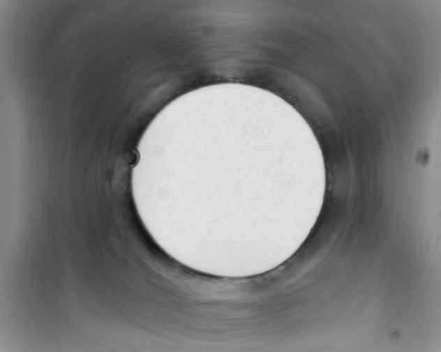 X0000100960036200807221156