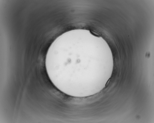 X0000100960037200807221156