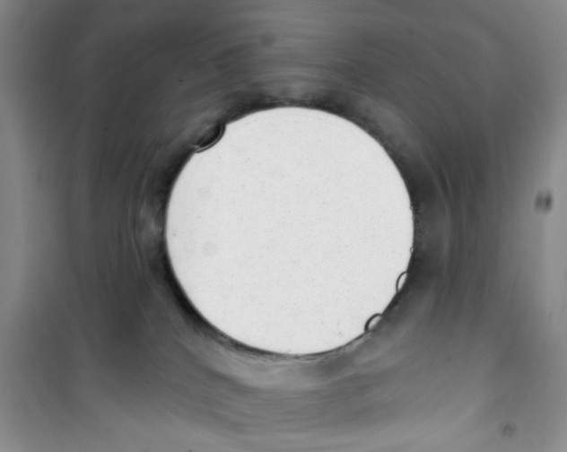 X0000100960040200807221156