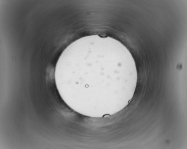 X0000100960041200807221156