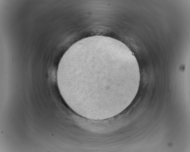 X0000100960042200807221156