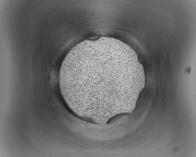 X0000100960043200807221156