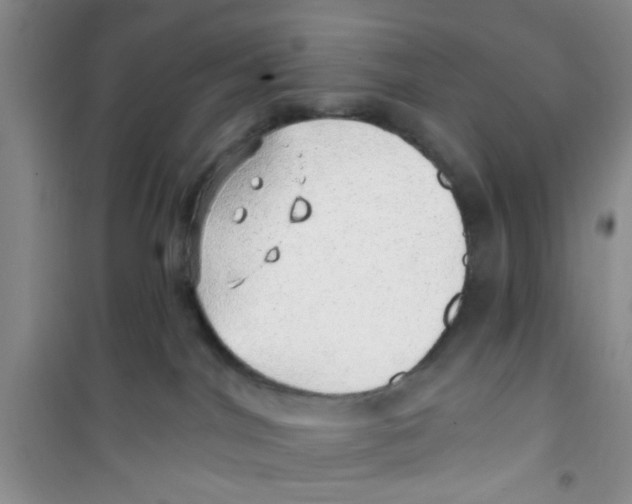 X0000100960044200807221155