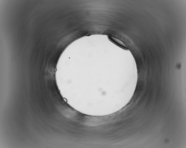 X0000100960045200807221155