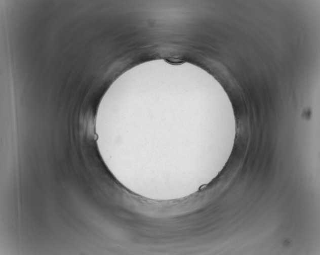 X0000100960046200807221155