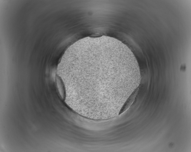 X0000100960047200807221155