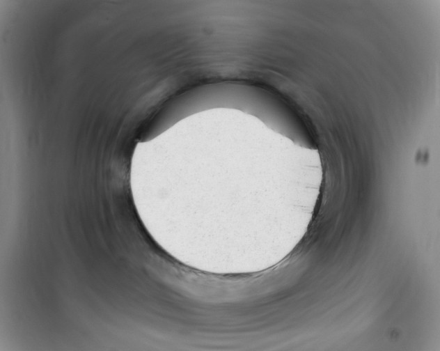 X0000100960048200807221155