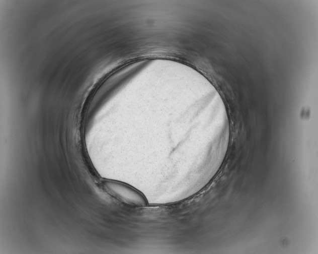 X0000100960050200807221155