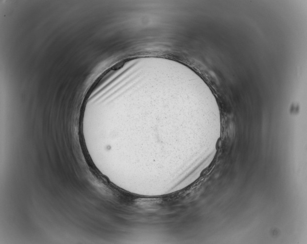 X0000100960051200807221155