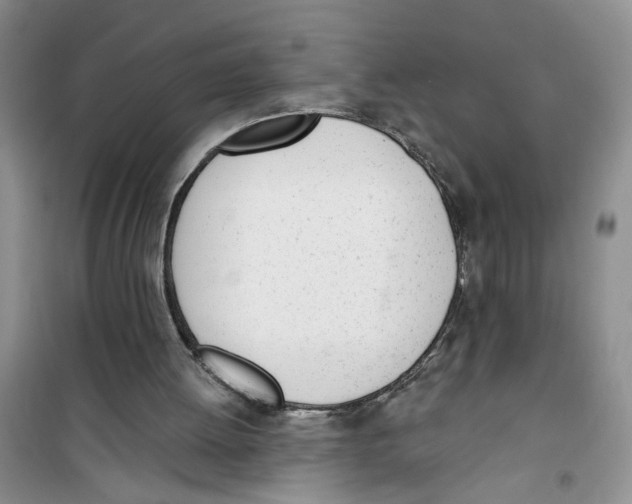 X0000100960052200807221155