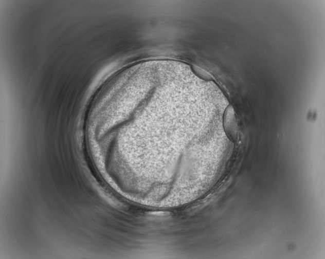 X0000100960053200807221155