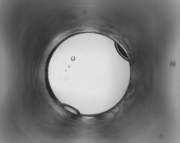 X0000100960055200807221155