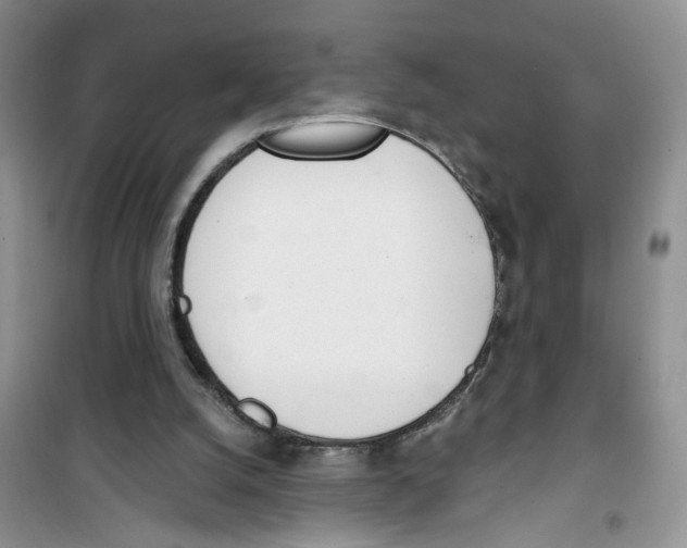 X0000100960056200807221155