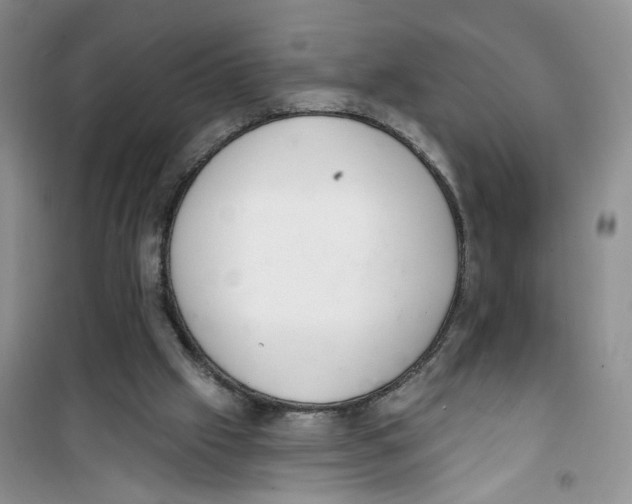 X0000100960057200807221155