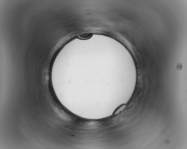 X0000100960059200807221155