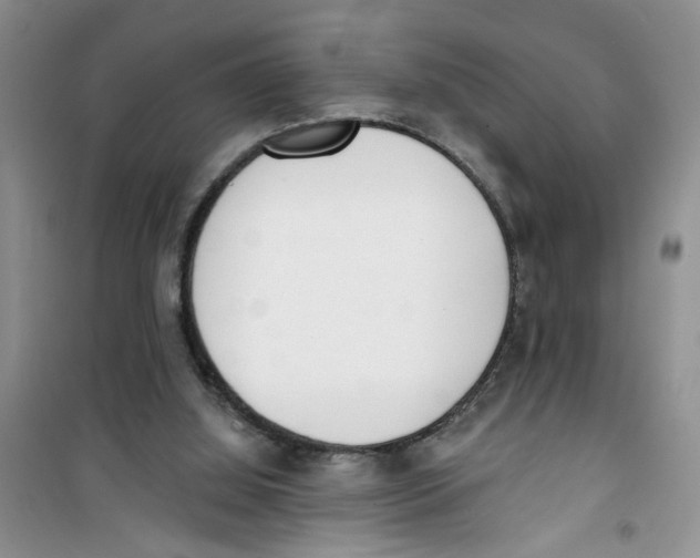 X0000100960060200807221155