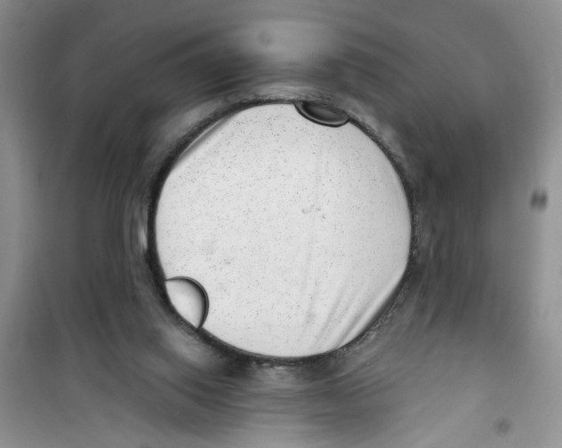 X0000100960062200807221155