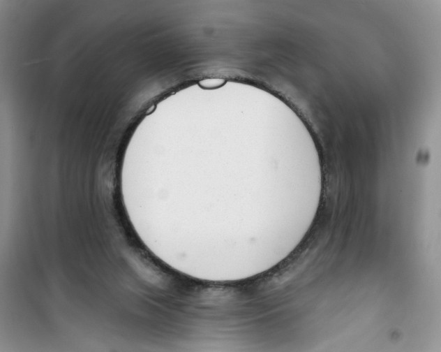 X0000100960063200807221155