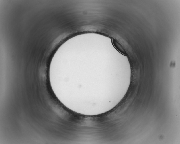 X0000100960064200807221155