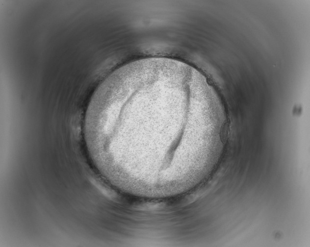 X0000100960065200807221155