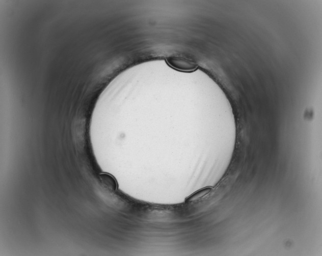 X0000100960066200807221155