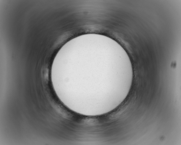 X0000100960067200807221155