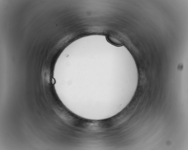 X0000100960068200807221155