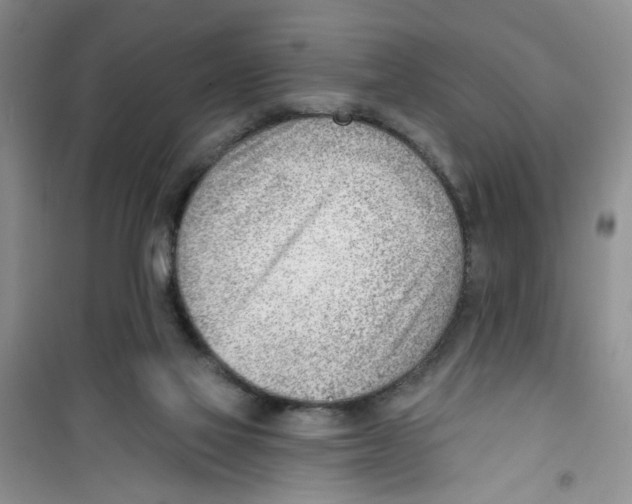 X0000100960069200807221155