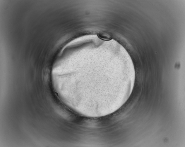 X0000100960071200807221155