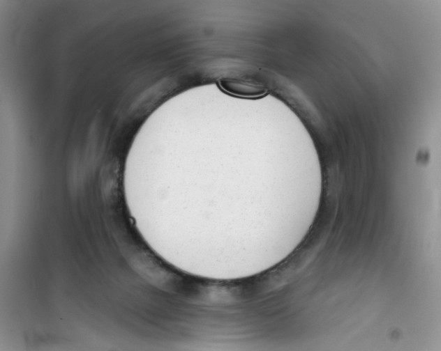 X0000100960073200807221155