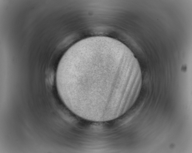 X0000100960076200807221155