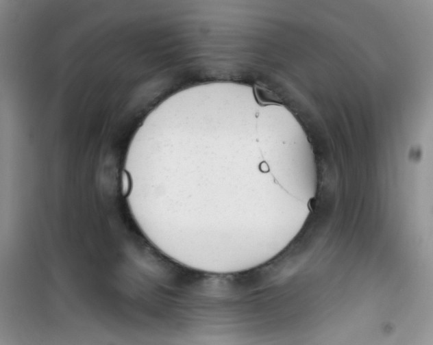 X0000100960080200807221155