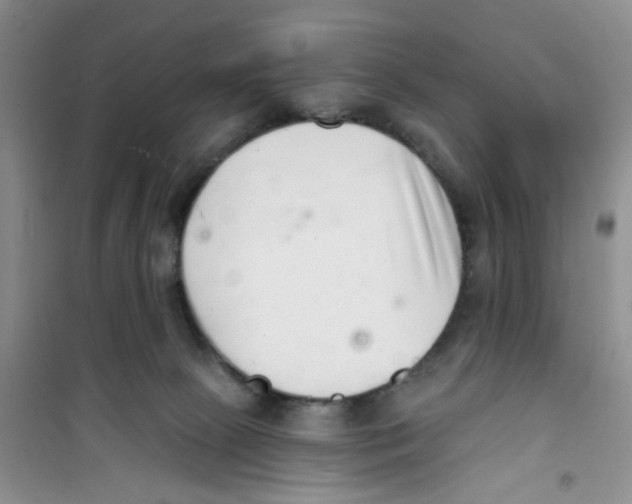 X0000100960081200807221155