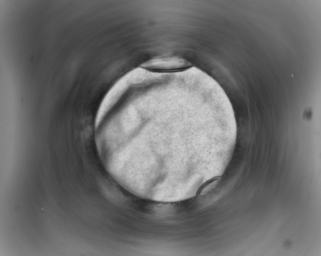 X0000100960085200807221155