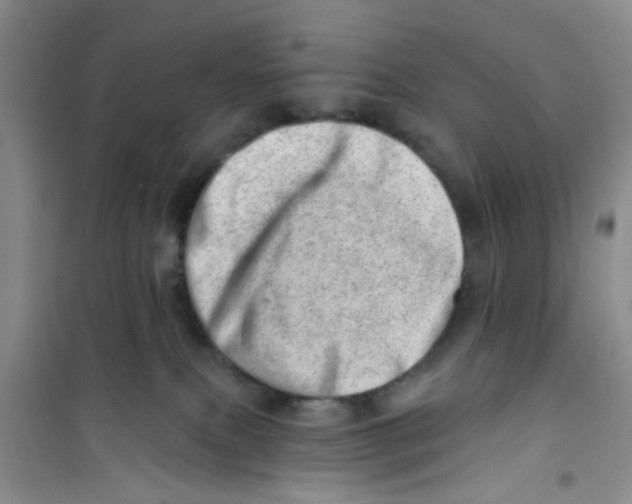 X0000100960087200807221155