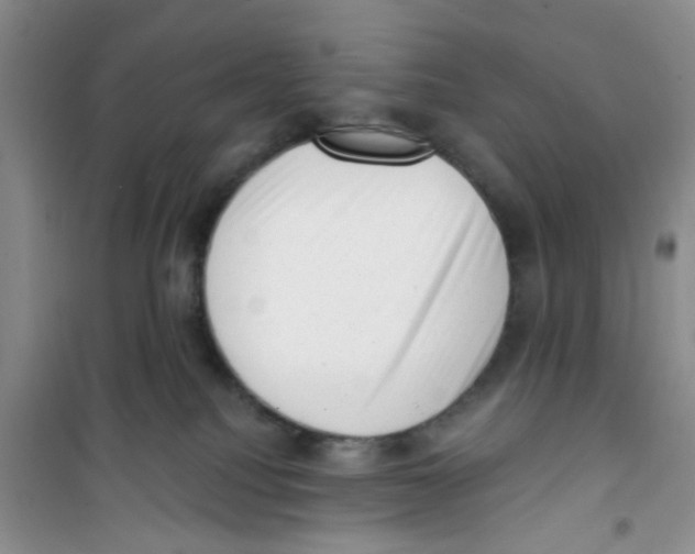 X0000100960088200807221155