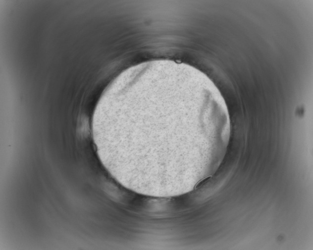 X0000100960089200807221155