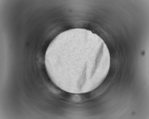 X0000100960091200807221155