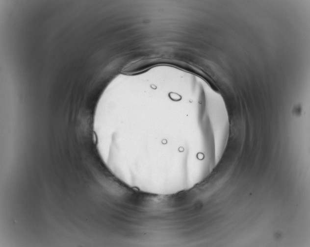 X0000100960092200807221155