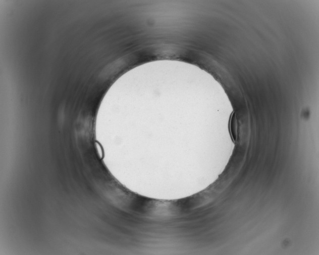 X0000100960093200807221155