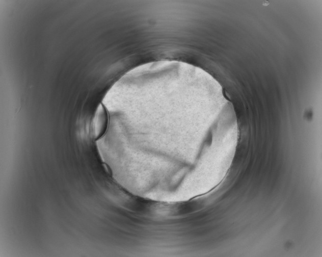 X0000100960094200807221155