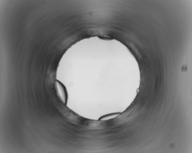 X0000100960096200807221155