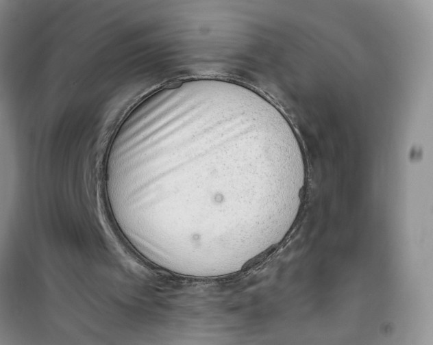 X0000100960097200807221155